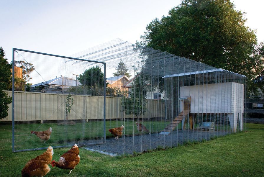 The coop is a self-supporting, frameless, galvanized steel mesh structure.