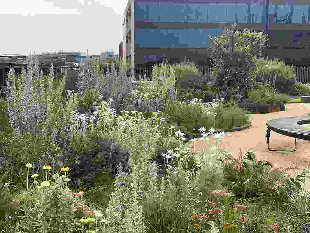Landscape Architecture Foundation Case Study Investigations: South Eveleigh Community Rooftop Garden and Sydney Park Water Reuse Project by UNSW Landscape Architecture in collaboration with Jiwah, Turf Design Studio and Environmental Partnership