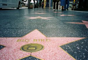 Hollywood Walk of Fame, Los Angeles.