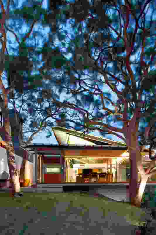 Angophora House by Richard Cole Architecture.