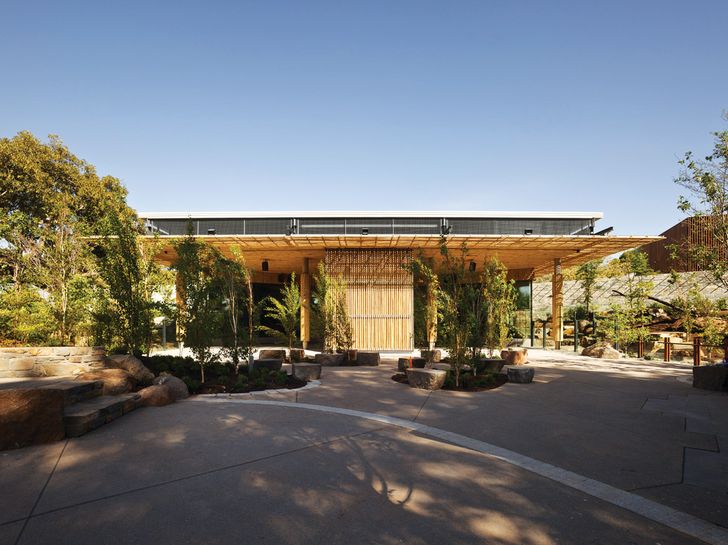 Giant Panda Bamboo Forest Adelaide Zoo ArchitectureAu