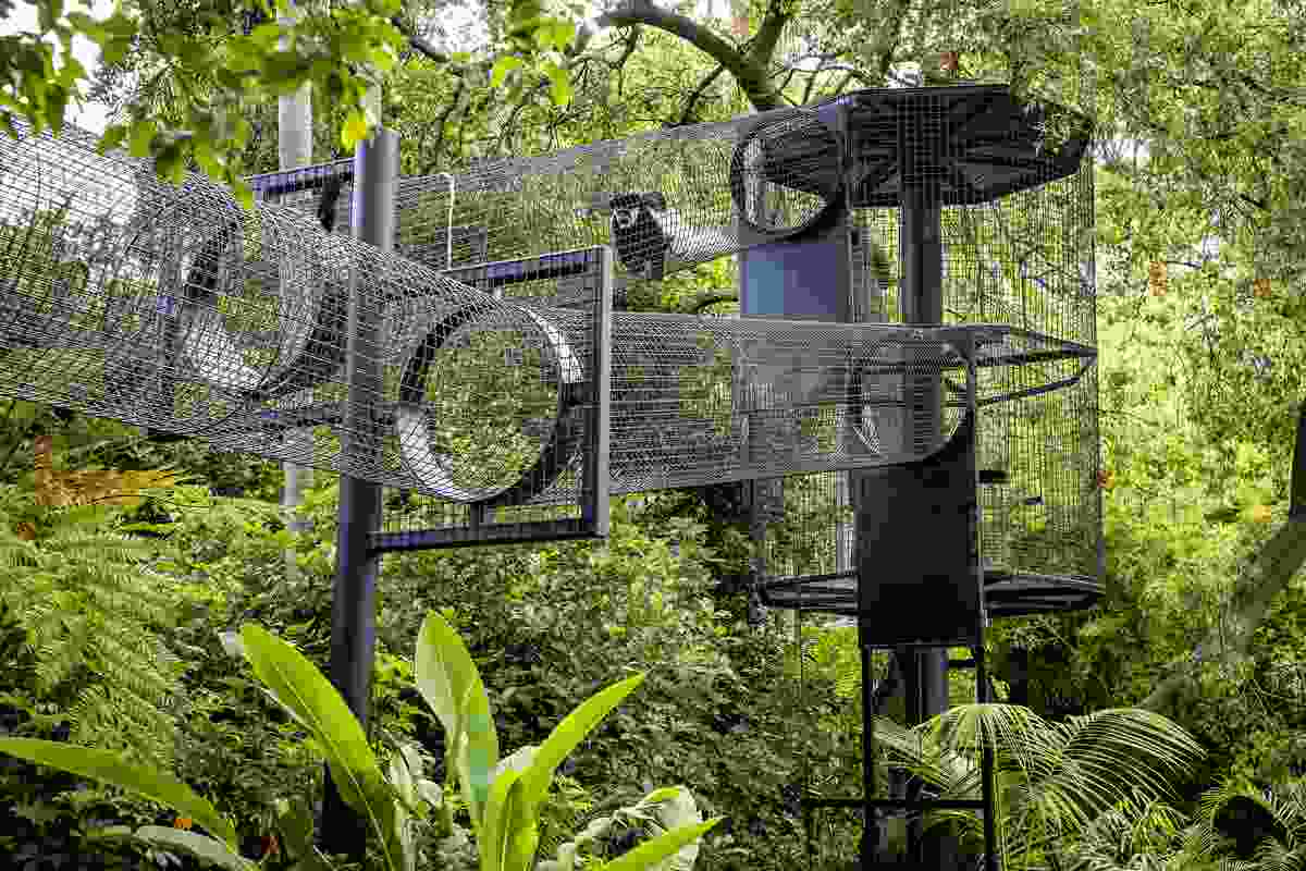 Colobus Sky Trail by Wax Design took out the Award of Excellence in the Small Projects category.