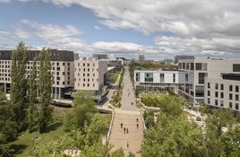 University Avenue is an expansive tree-lined pedestrian walkway
