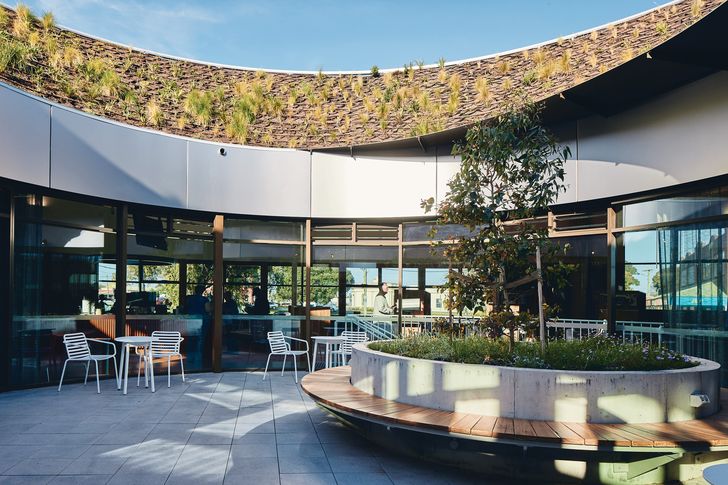 In the upper-floor plate, and planned around an endemic gum tree, the courtyard is the best place to experience the building’s green roof.