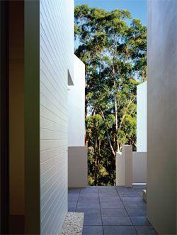 Slots between the blocks provide access and allow pedestrians glimpses of the bush.