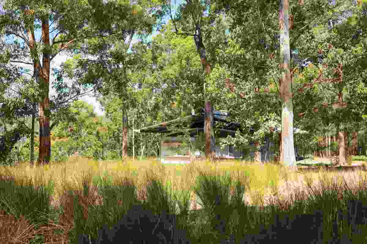 Forest Edge Garden by Jane Irwin Landscape Architecture, a prominent Sydney-based practice. 
