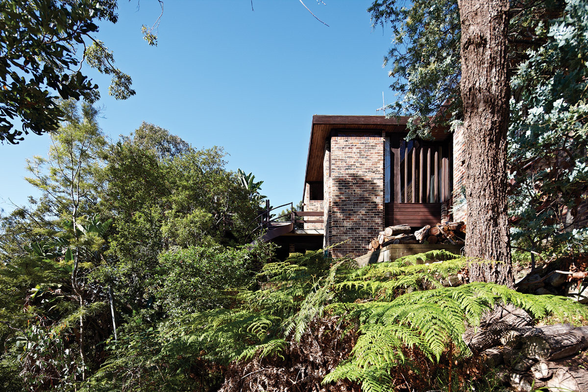 Baudish House (1964) revisited | ArchitectureAu