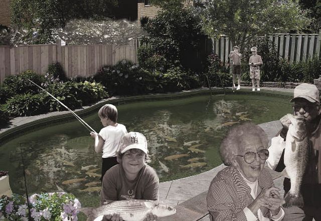 Swimming pool aquaculture might yield a sustainable solution for the suburbs.