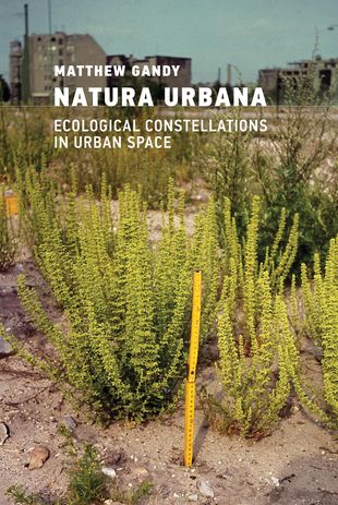 Gandy's latest book (MIT Press, 2022) dwells on his fascination with the “other nature” that flourishes in marginal urban spaces.