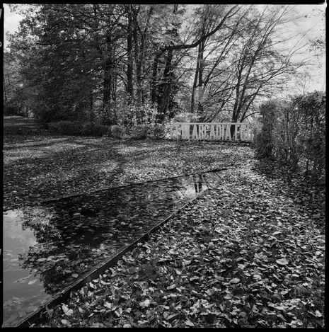 Models without numbers: The landscapes of Günther Vogt