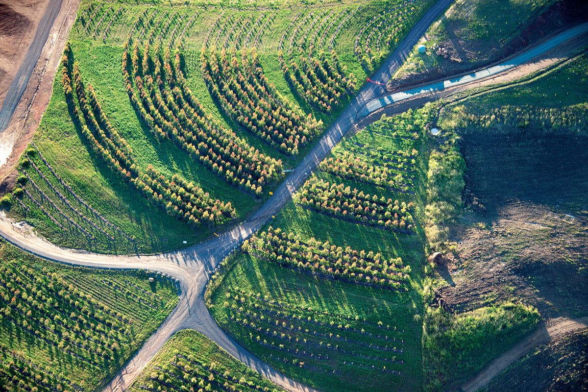 The National Arboretum Canberra | ArchitectureAu