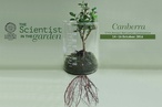 The Scientist in the Garden: Australian Garden History Society conference