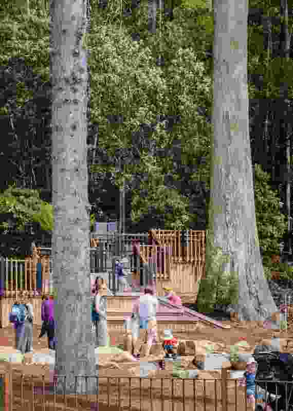 Children clamber over rocks and tree trunks at the nature play area at the upgraded Fern Tree Park Visitor Node.