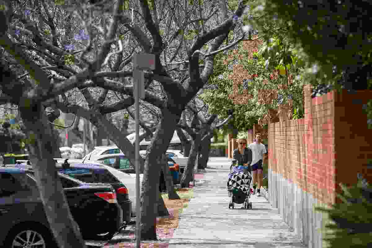 Sustainable streets – tree diversity and resilience planning through our street tree master plan and species by City of Sydney