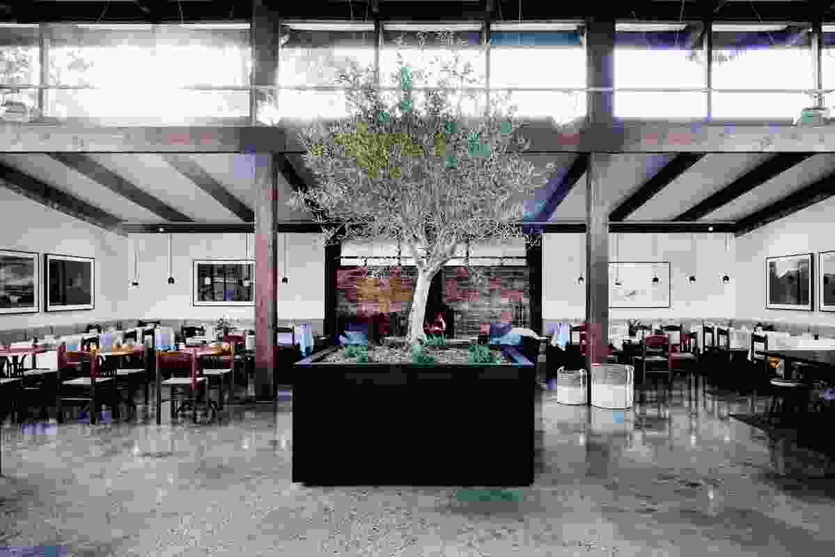 Described by Perera as a “monolithic piece,” an olive tree in a planter box is located at the centre of the cafe.
