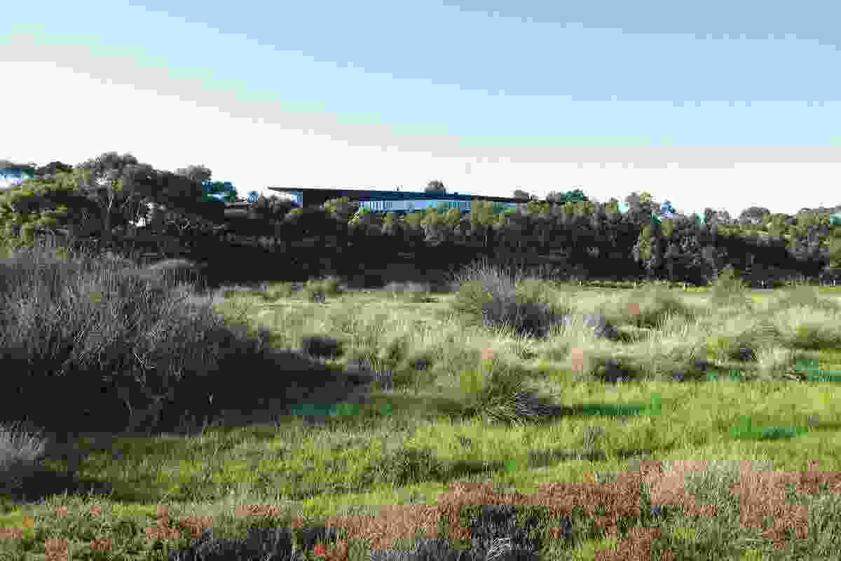 House at Lake Connewarre (2002):  landscaping and inhabitation are significant. 