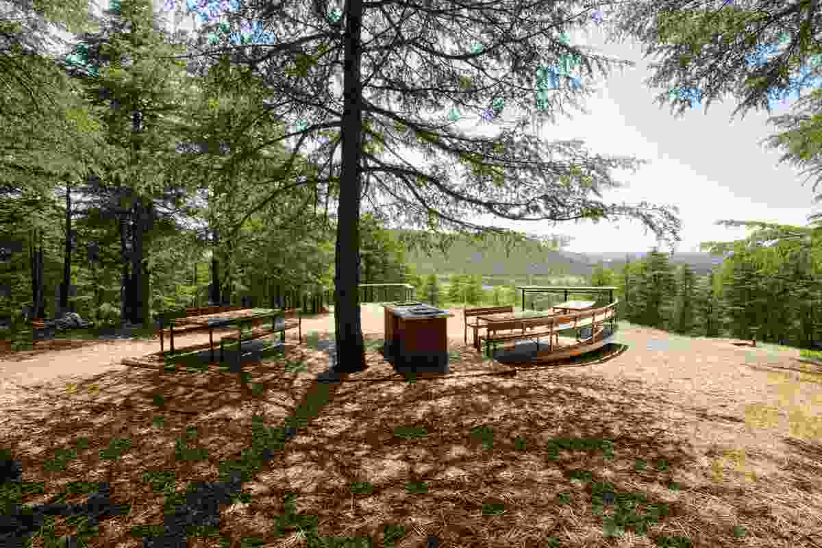 A picnic and barbecue area within the Himalayan cedar forest.
