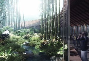 The Panda Land masterplan by Hassell in collaboration with the Tongji Urban Planning and Design Institute and Joe Coe Design.