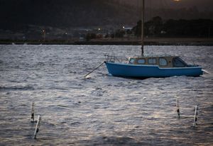 Amphibious Architecture is installed in Hobart's Derwent estuary – its rather inconspicuous poles bob up and down with the swell.