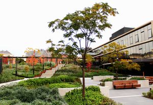 Bendigo Hospital Project by Oculus Landscape Architecture and Urban Design won the Award of Excellence in the Civic Landscape category.