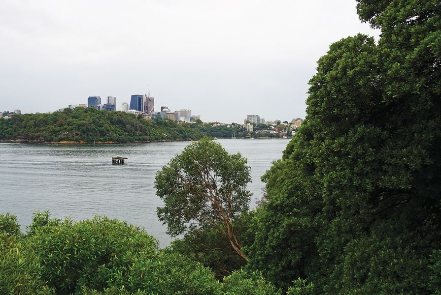 Viewed here from Ballast Point, Balls Head Reserve gives the misleading impression of a landscape untouched by European settlement.