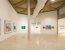 Installation view. Works from left to right are by Lucas Jodogne, Stephen Bush, Narelle Jubelin, Sam Durant and Kate McMillan.