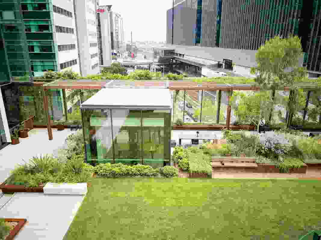 The park offers views over the city below; at its western end, a meeting pod can be booked by building tenants.