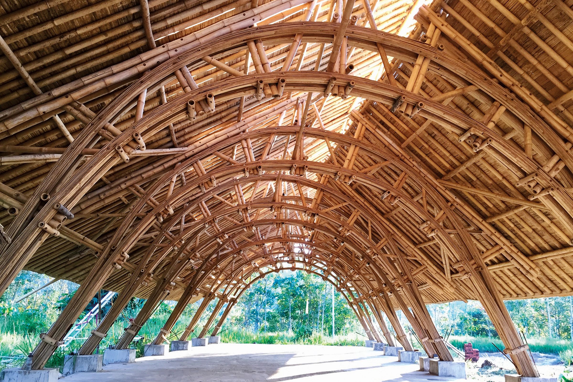 Bamboo Ramp Structure The bamboo frontier | ArchitectureAu