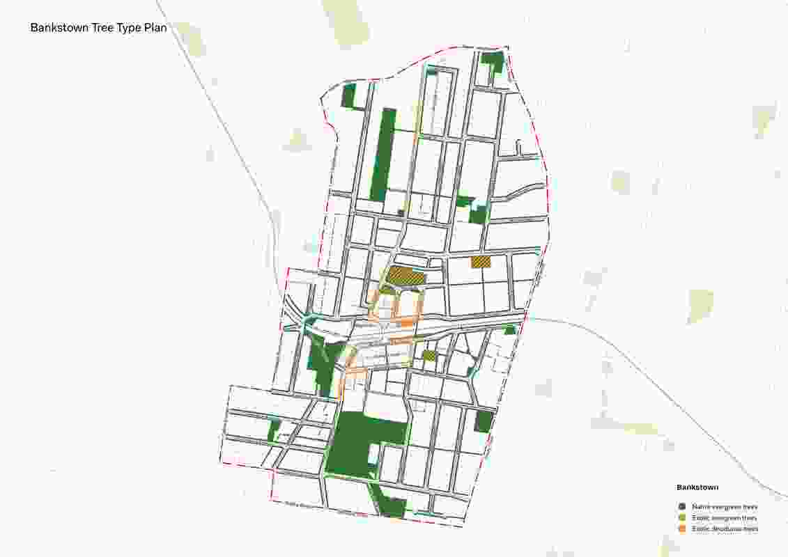 Bankstown and Campsie CBD Urban Tree Canopy Master Plan by Oculus with TreeIQ and Homewood Consulting