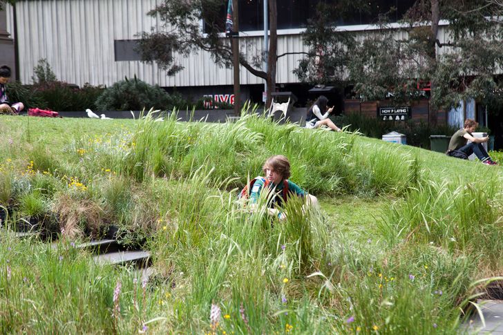 Grasslands installation at the State Library of Victoria.