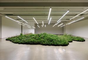 Installation by Linda Tegg at Jil Sander's Milan headquarters.