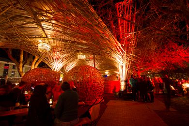 The Hothouse at Dark Mofo 2015.