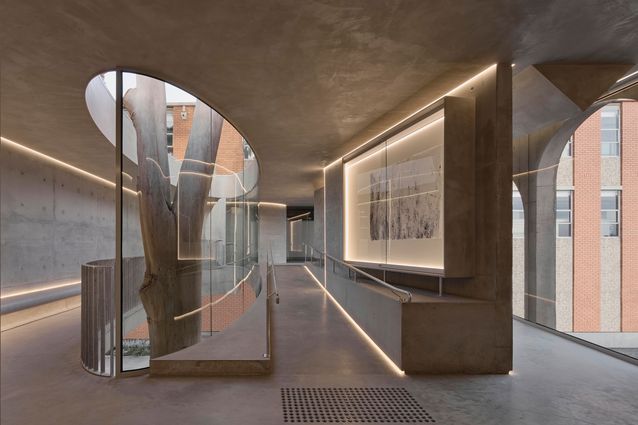 Gallery for a Tree by Farrell Wray
