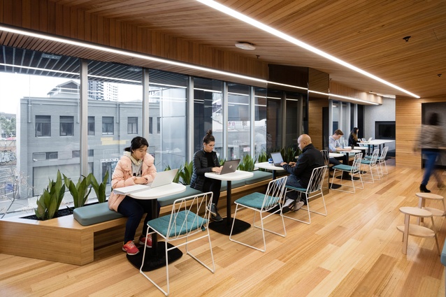 The Spot Student Spaces, Faculty of Business and Economics, University of Melbourne by DesignInc.