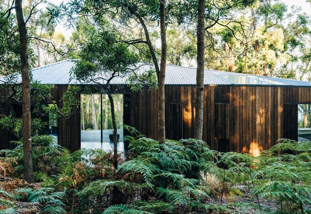 The house appears as an elemental built form among dense forest and undergrowth.