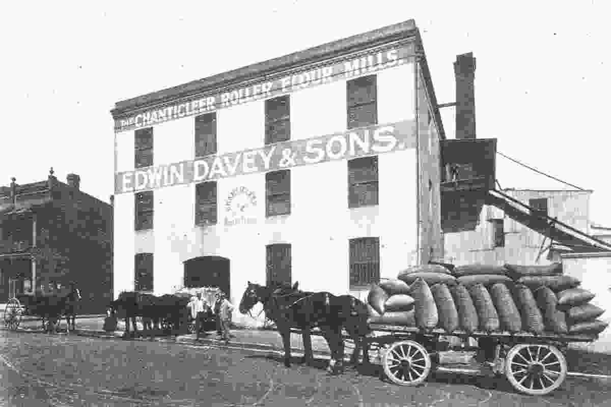 Edwin Davey Flour Mill in 1909.
