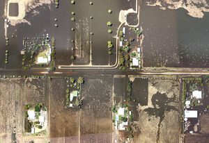 In many parts of Australia the clearing of deep-rooted native forests to farm shallow-rooted pastures or crops has led to rising groundwaters, salinity and less resilience to drought and flood.