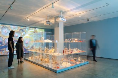 Janet Laurence, Deep Breathing: Resuscitation for the Reef, 2015–16/2019, installation view, Museum of Contemporary Art (MCA) Australia, 2019. Image courtesy and copyright the artist.